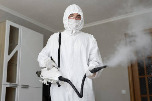 Best Residential Mold Inspection & Testing  in USA